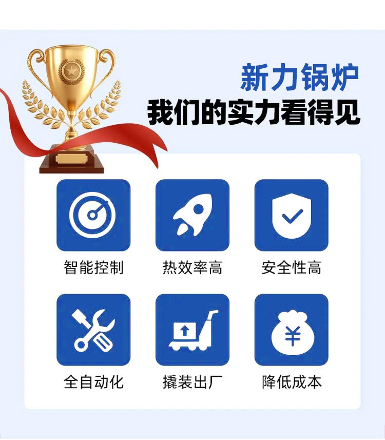 生物质锅炉