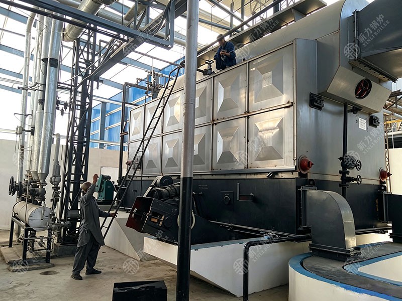 生物质热水锅炉行业生长现状与应用远景